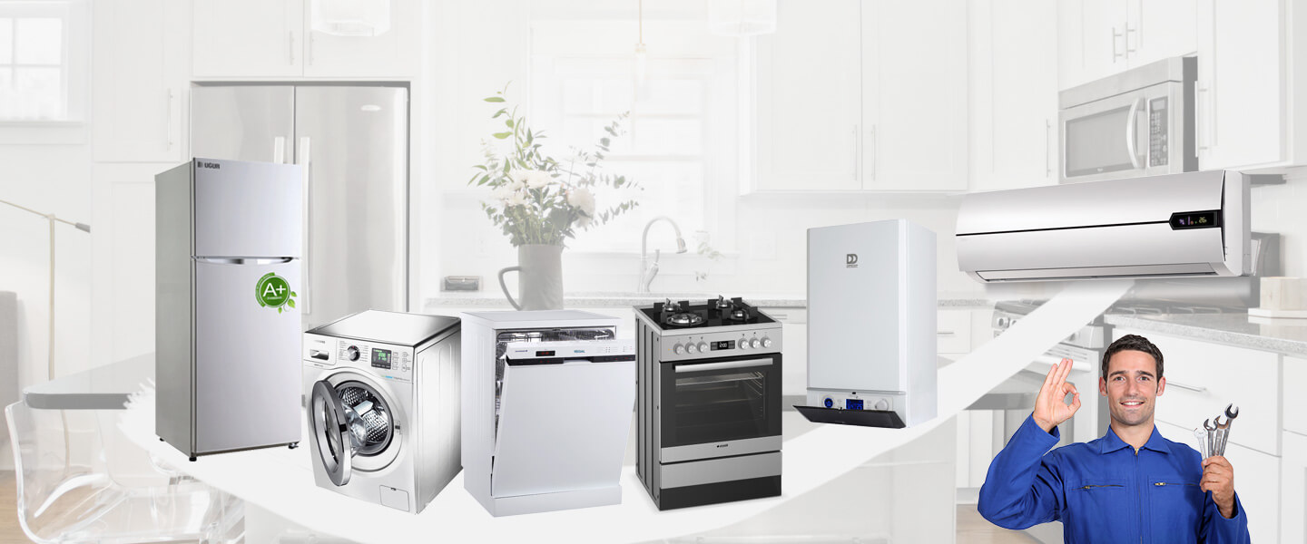 Bahçelerarası Gaggenau Servisi